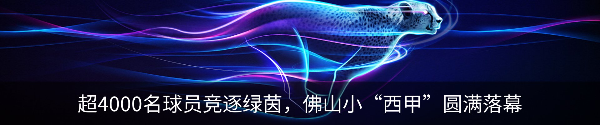 新闻中心