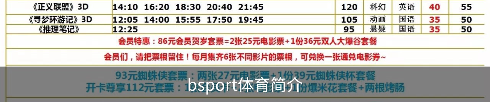 bsport体育简介